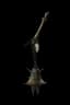 Light's Rebuke unique item icon