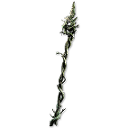 splinter_of_loratta