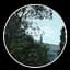 Lush Blooms icon