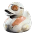 Flashy Duck