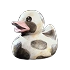 Gentle Duck