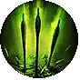Multishot icon